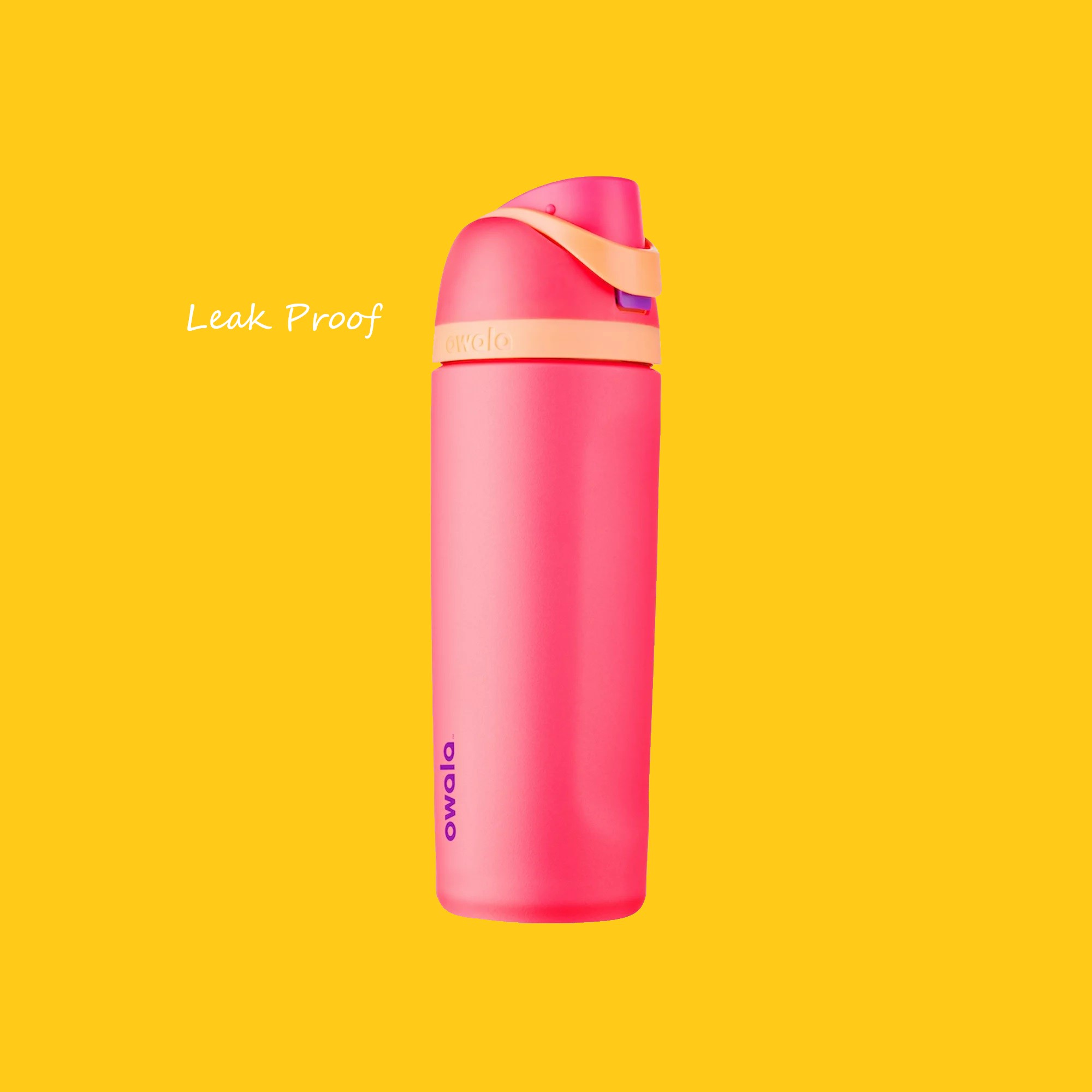 Owala FreeSip Stainless Steel Water Bottle